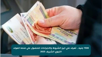 1500 جنيه.. تعرف على أبرز الشروط والإجراءات للحصول على منحة المولد النبوي الشريف 2025